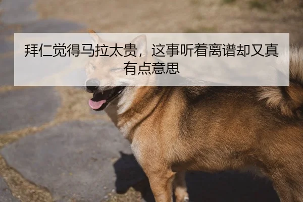 bai-ren-jue-de-ma-la-tai-gui-zhe-shi-ting-zhe-li-pu-que-you-zhen-you-dian-yi-si-2-124.jpg